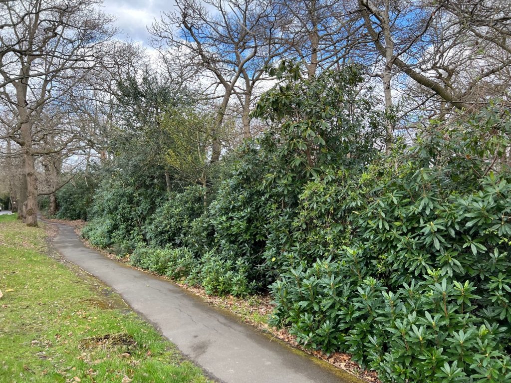 Land At Shirley Church Road, Croydon, CR0 5AF