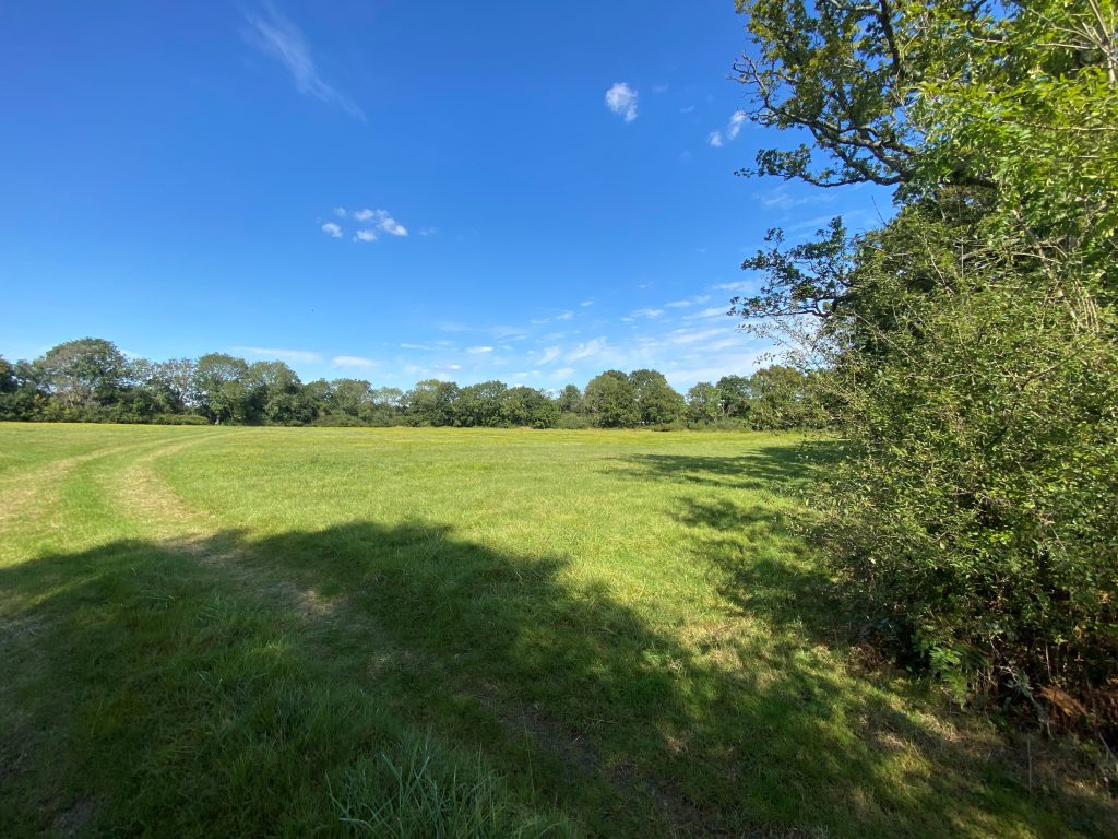 Blue Parcel, Land at Bonnetts Lane, Gatwick RH11 0NY
