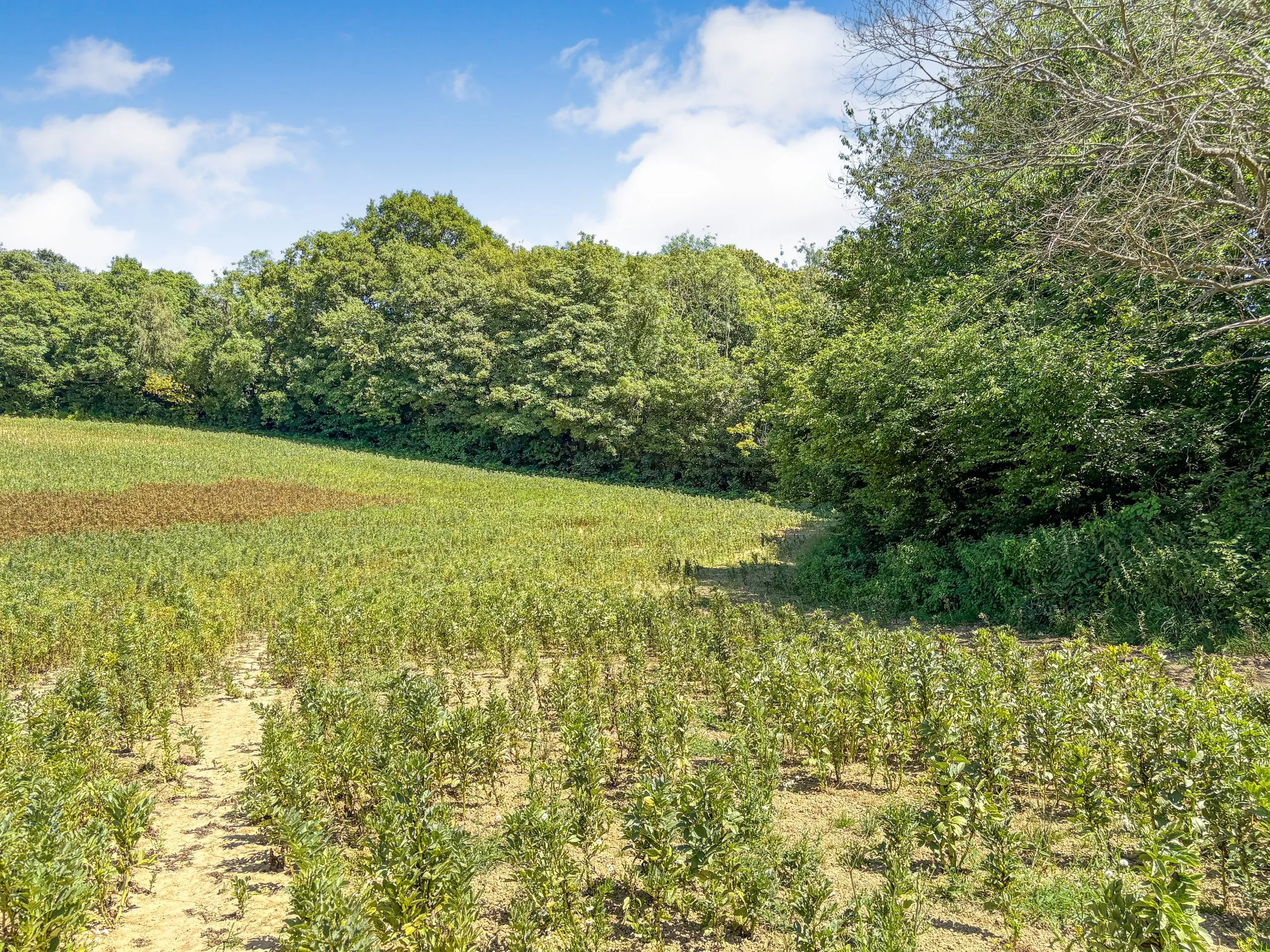 ‘Crowhurst’, Land off Riccards Lane, Whatlington, East Sussex, TN33 0NG