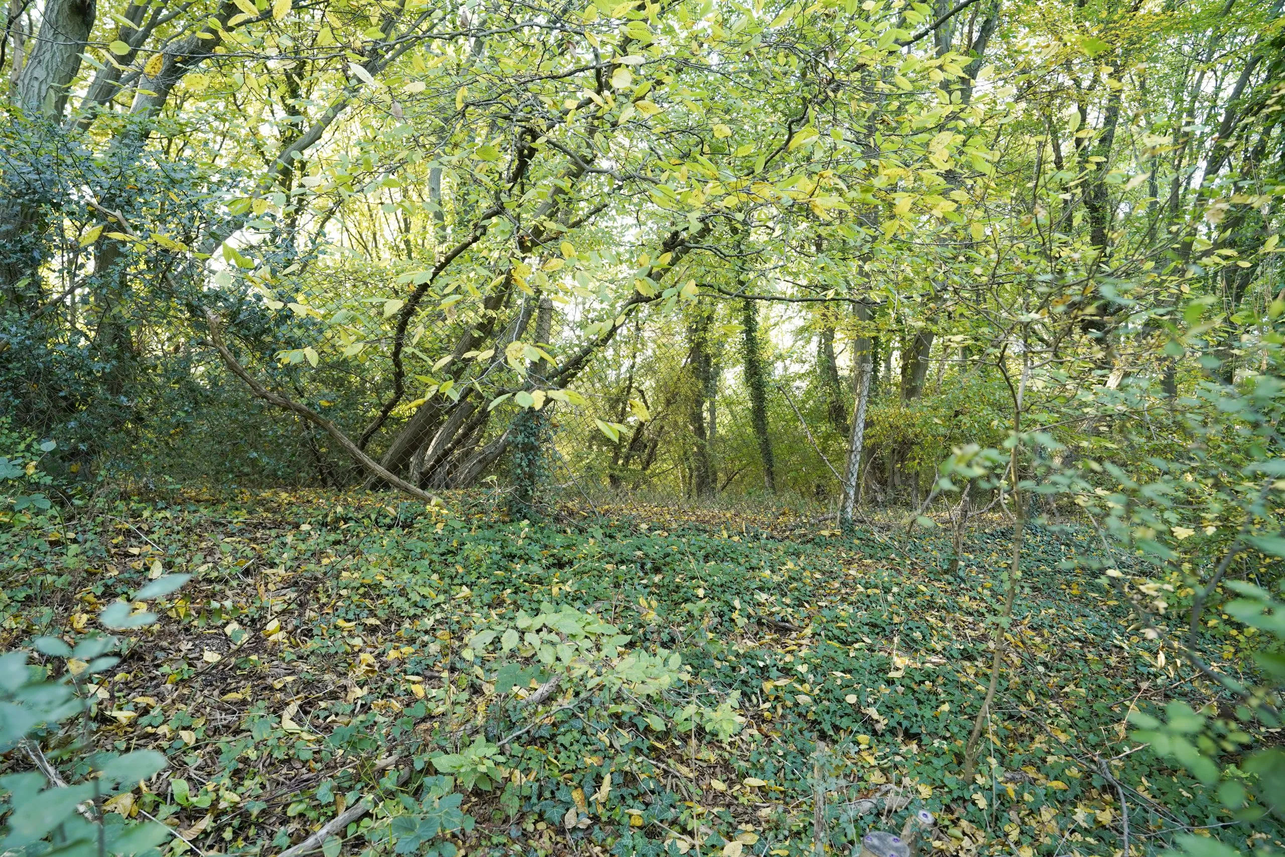 ‘Wildacres View’ Sandy Lane, Northwood, London, HA6 3HB