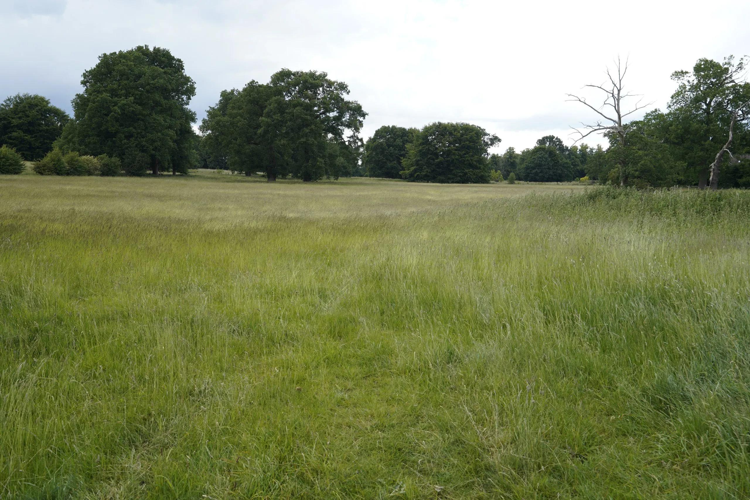Land off Hollybush Lane, Wolverhampton, WV8 2AT