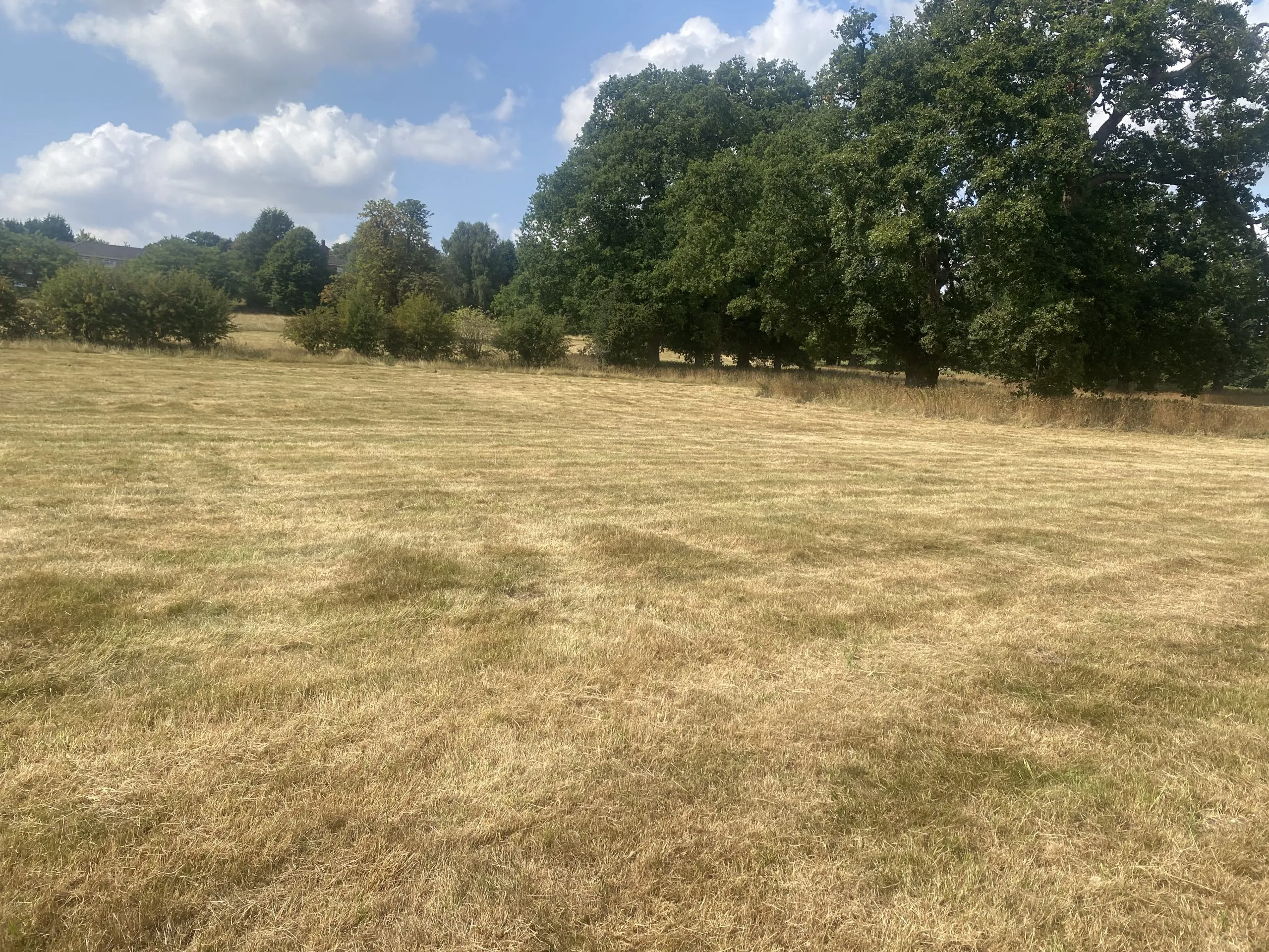 Oaken Grange, Land off Hollybush Lane, Wolverhampton, WV8 2AT