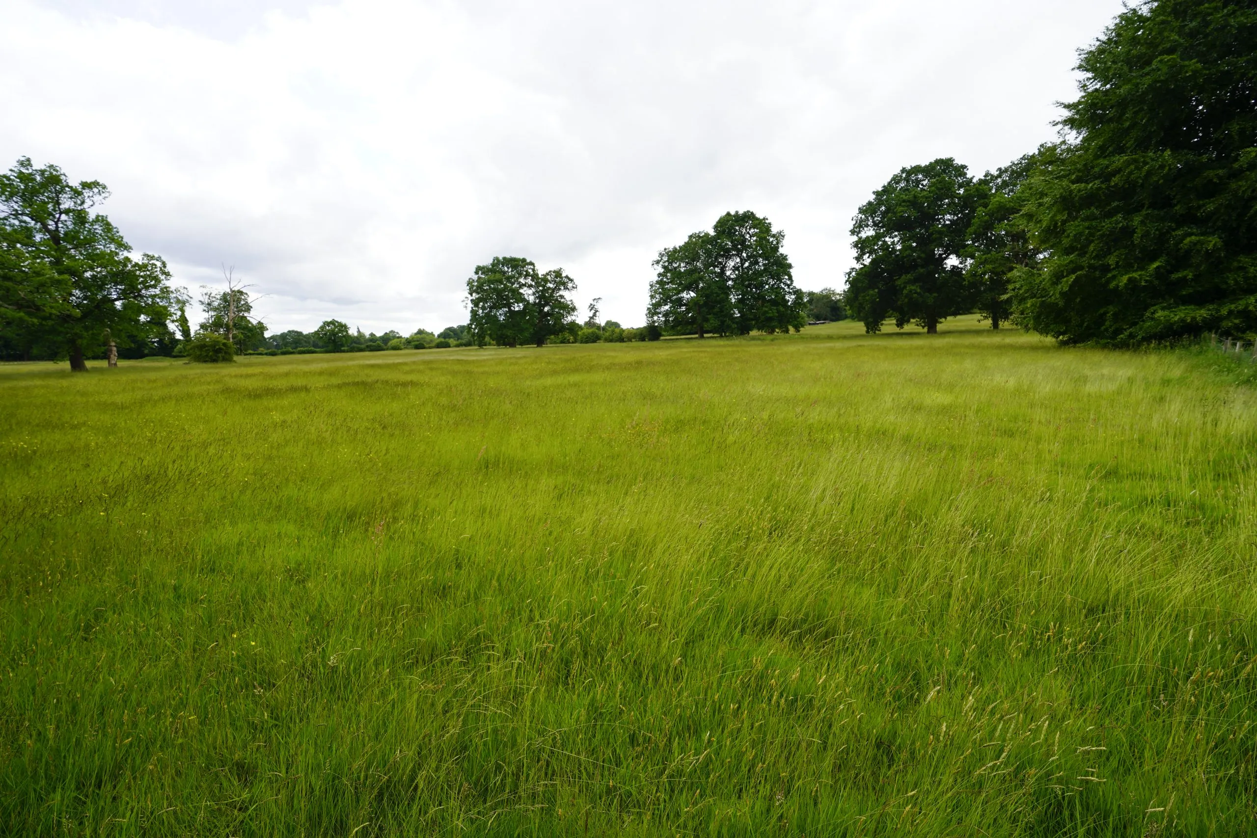 Oaken Grange, Land off Hollybush Lane, Wolverhampton, WV8 2AT