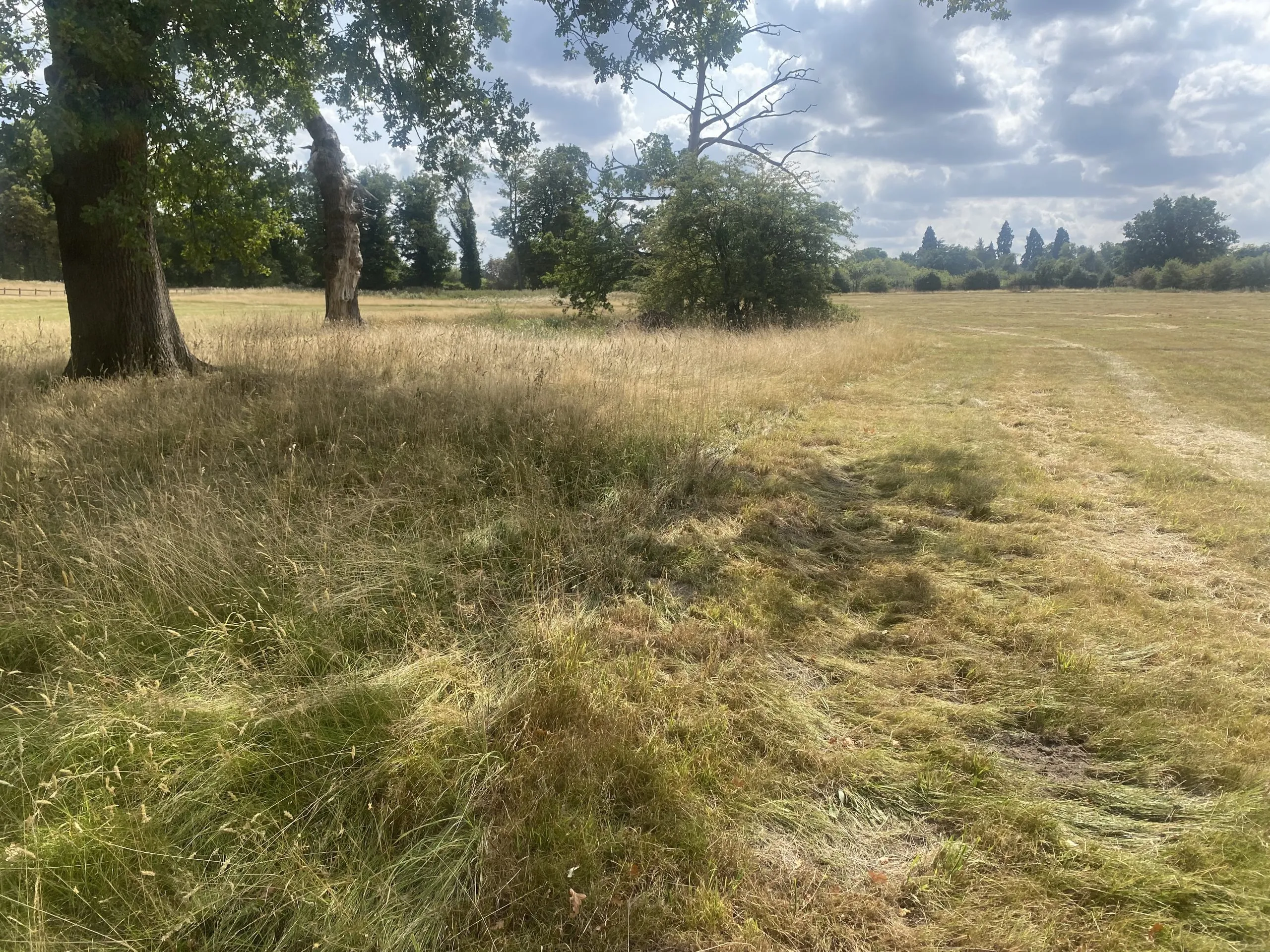 Oaken Grange, Land off Hollybush Lane, Wolverhampton, WV8 2AT