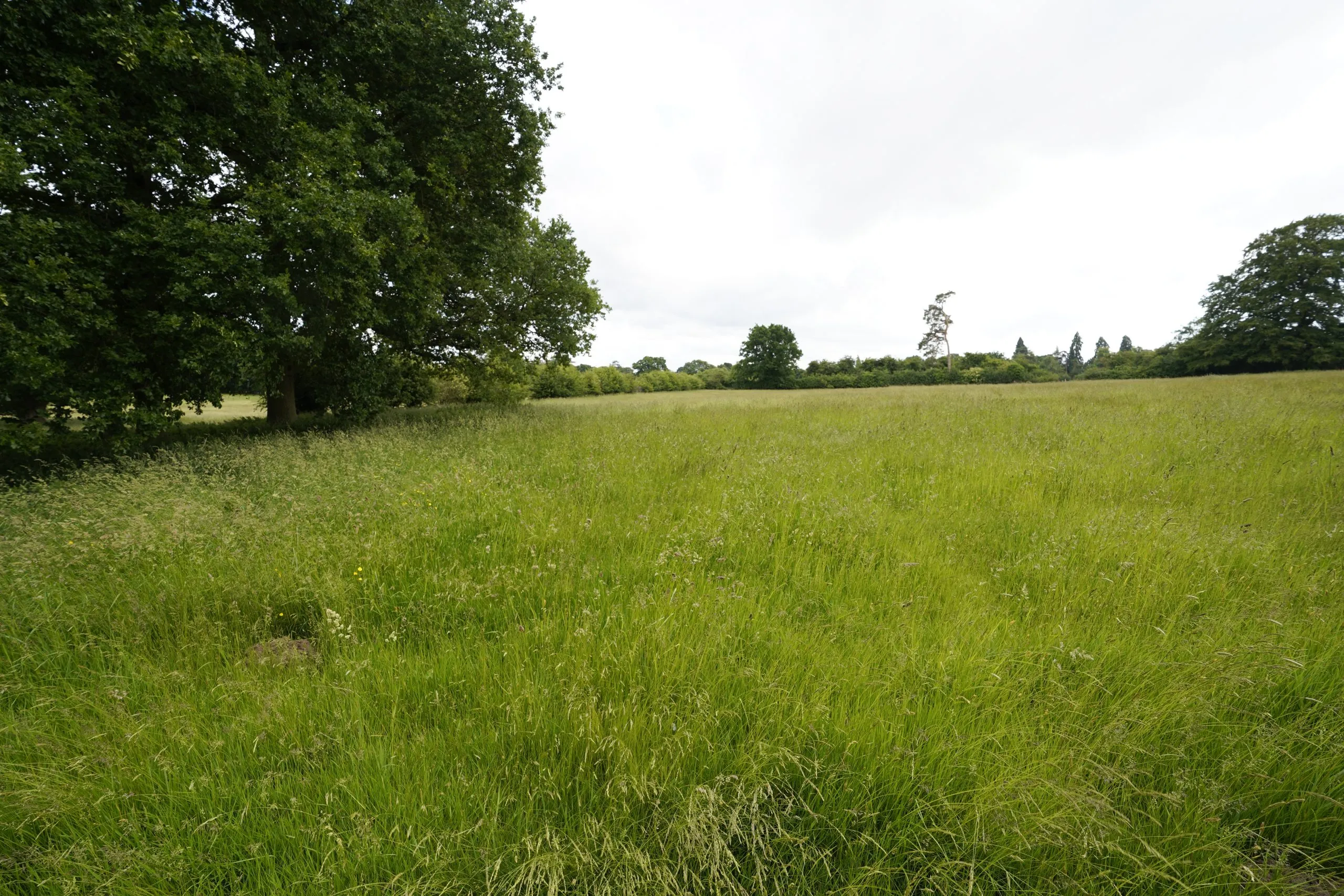 Oaken Grange, Land off Hollybush Lane, Wolverhampton, WV8 2AT