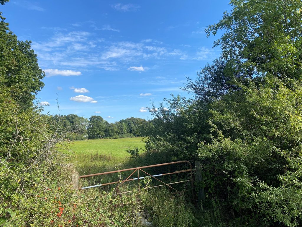 Yellow Parcel, Land at Bonnetts Lane, Gatwick RH11 0NY