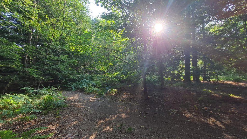 Land at Great Missenden, Buckinghamshire, Prestwood HP16 0SW
