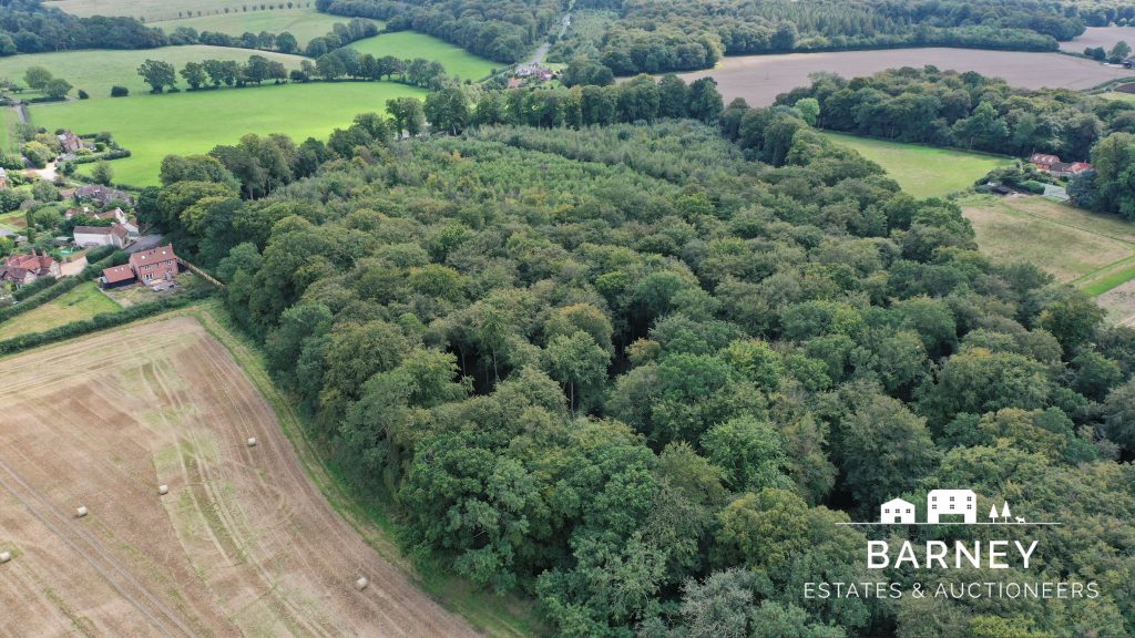 Land at Nettlebed, Henley-On-Thames, RH9 6DP