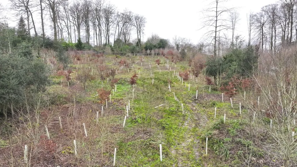 Land at Witheridge Lane, Penn, High Wycombe HP10 8PQ