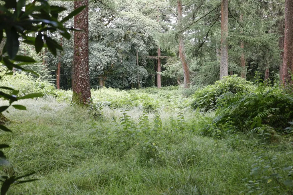Land at Tennysons Lane, Haslemere, GU27 3AF