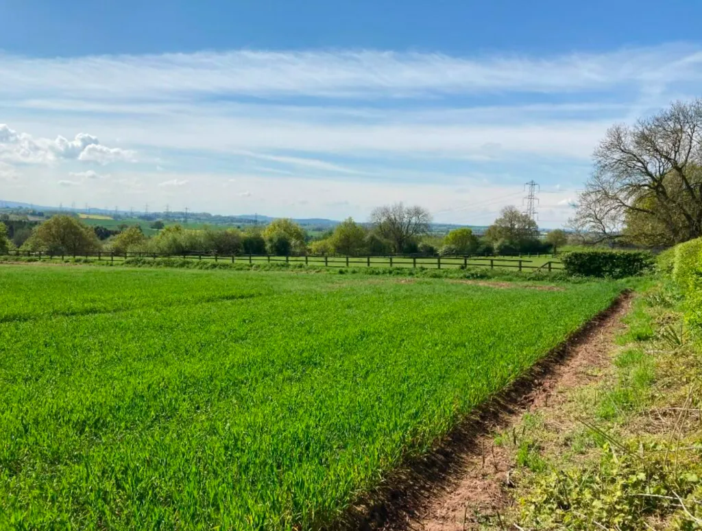 Land on the East Side of Great Moor Road, Pattingham, Wolverhampton, West Midlands, WV6 7AU