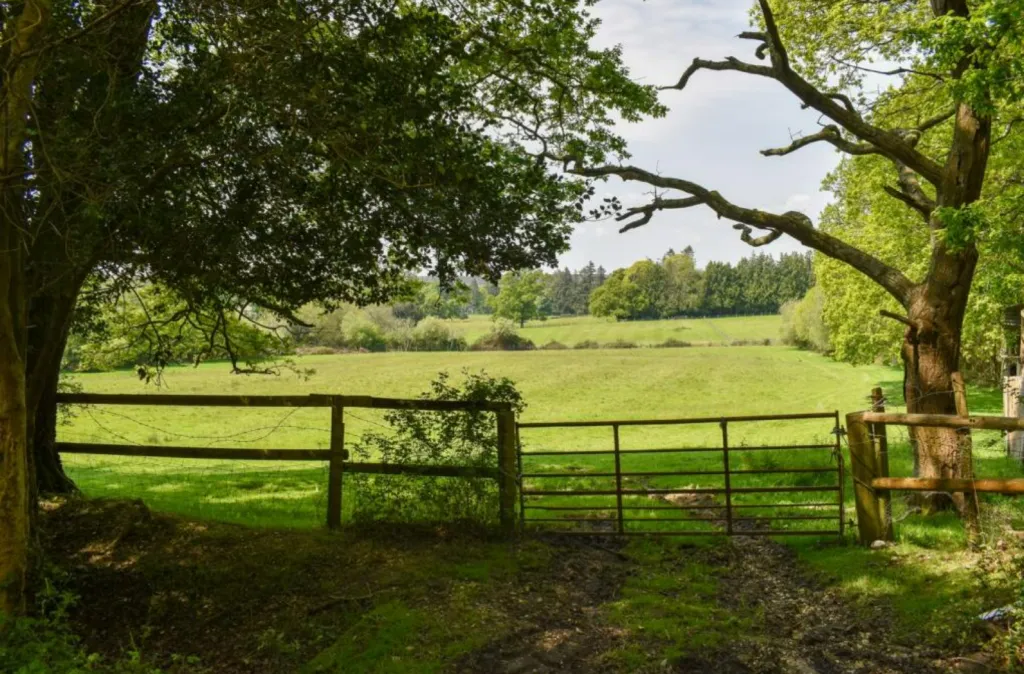 Land at Linwood, Ringwood, BH24 1AG
