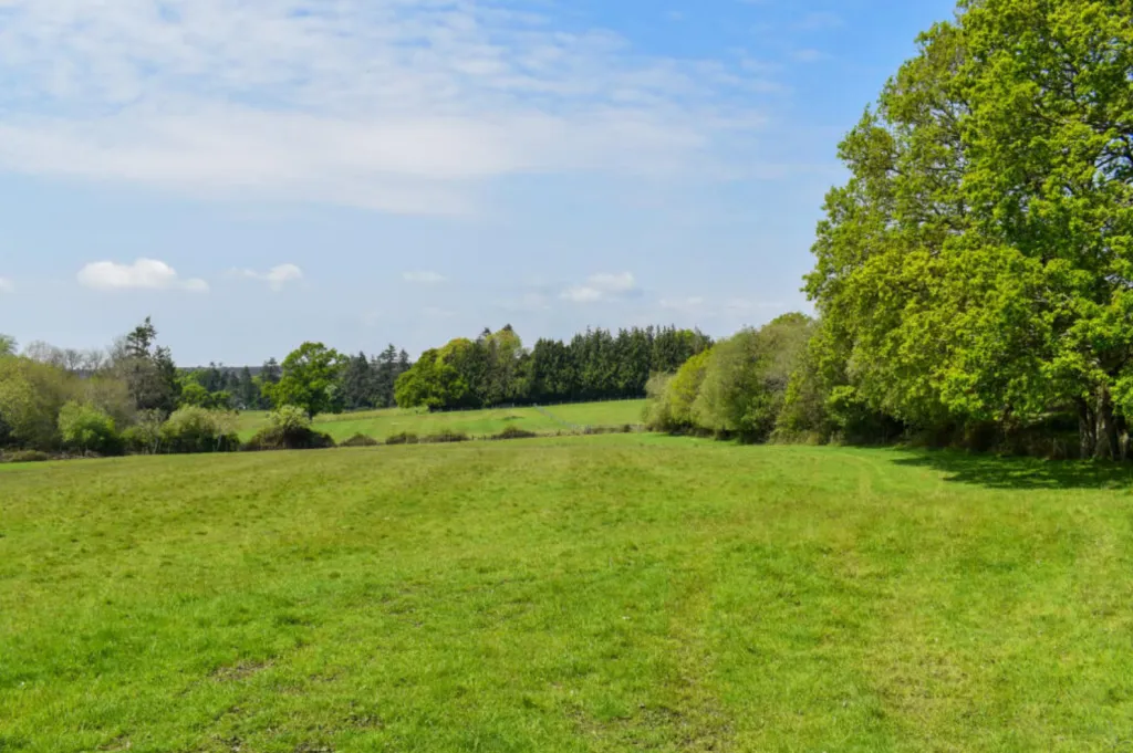 Land at Linwood, Ringwood, BH24 1AG