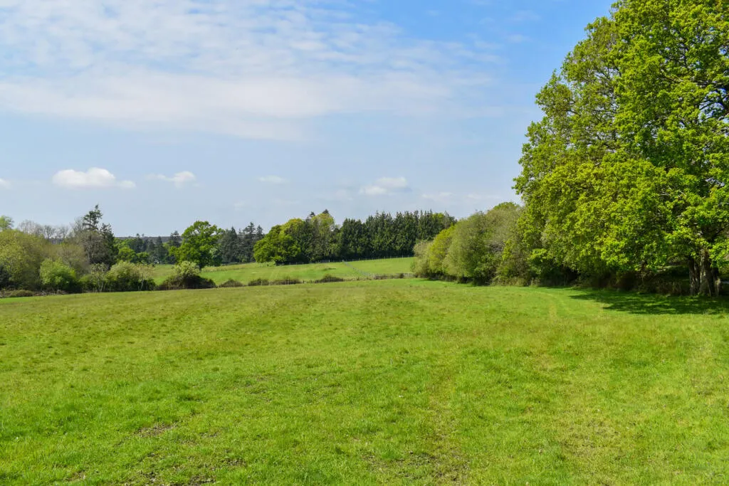 Land at Linwood, Ringwood, BH24 1AG