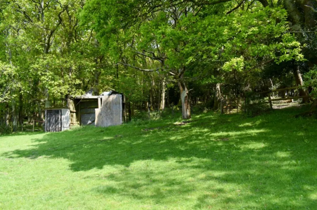 Land at Linwood, Ringwood, BH24 1AG