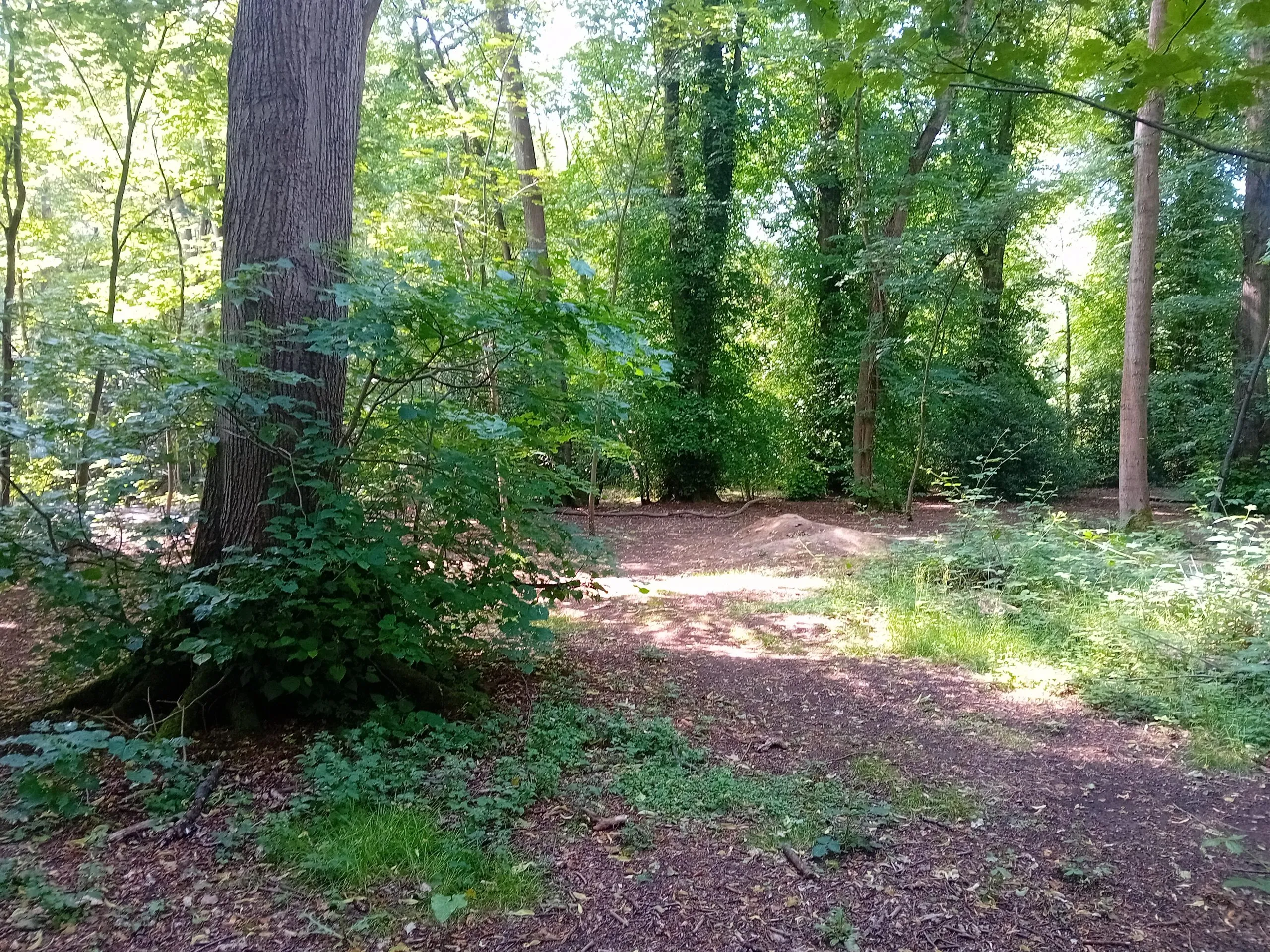 Land at Simons Lane, Simons Wood, Berkshire, Wokingham, RG41 3NB
