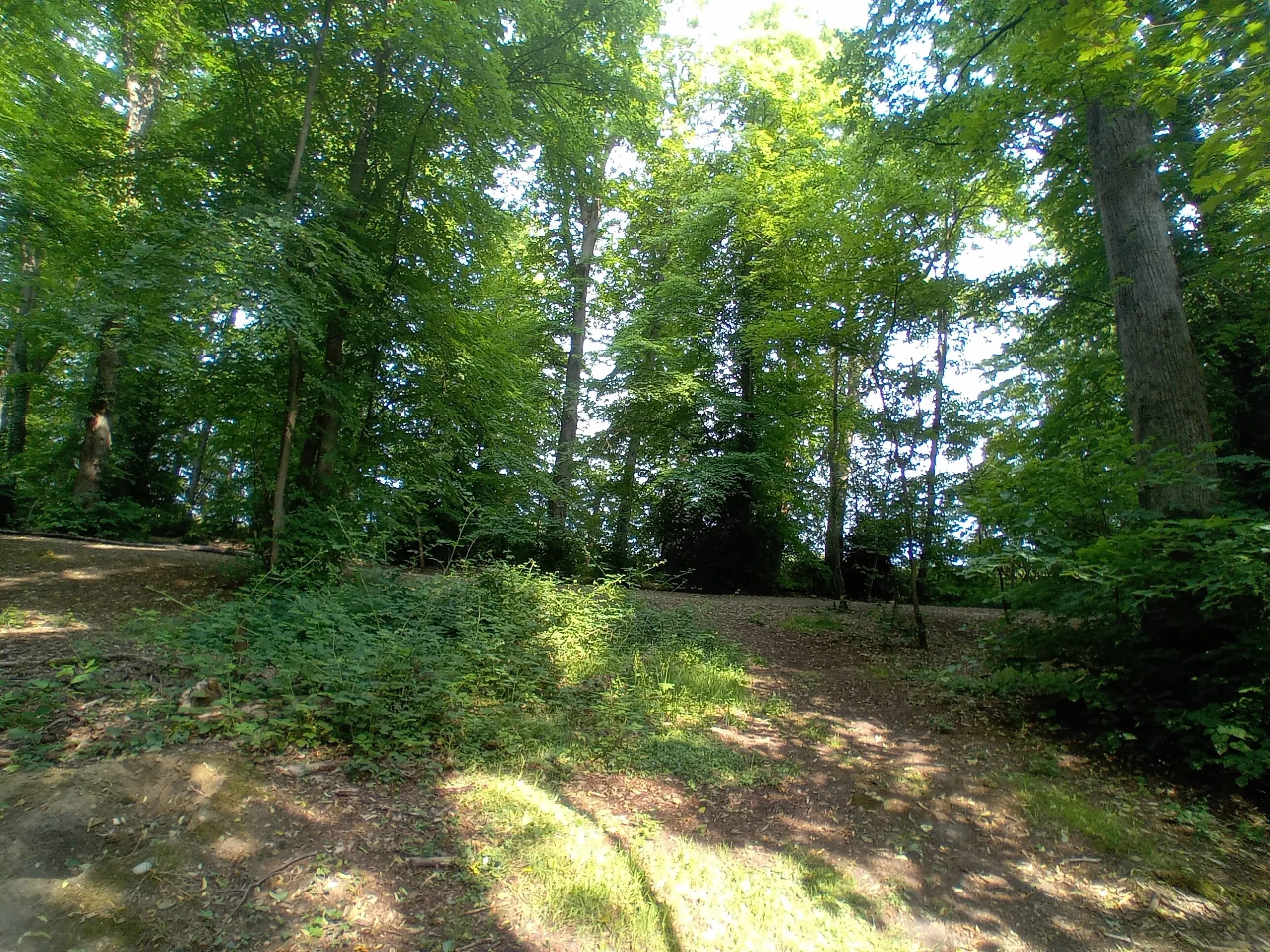 Land at Simons Lane, Simons Wood, Berkshire, Wokingham, RG41 3NB