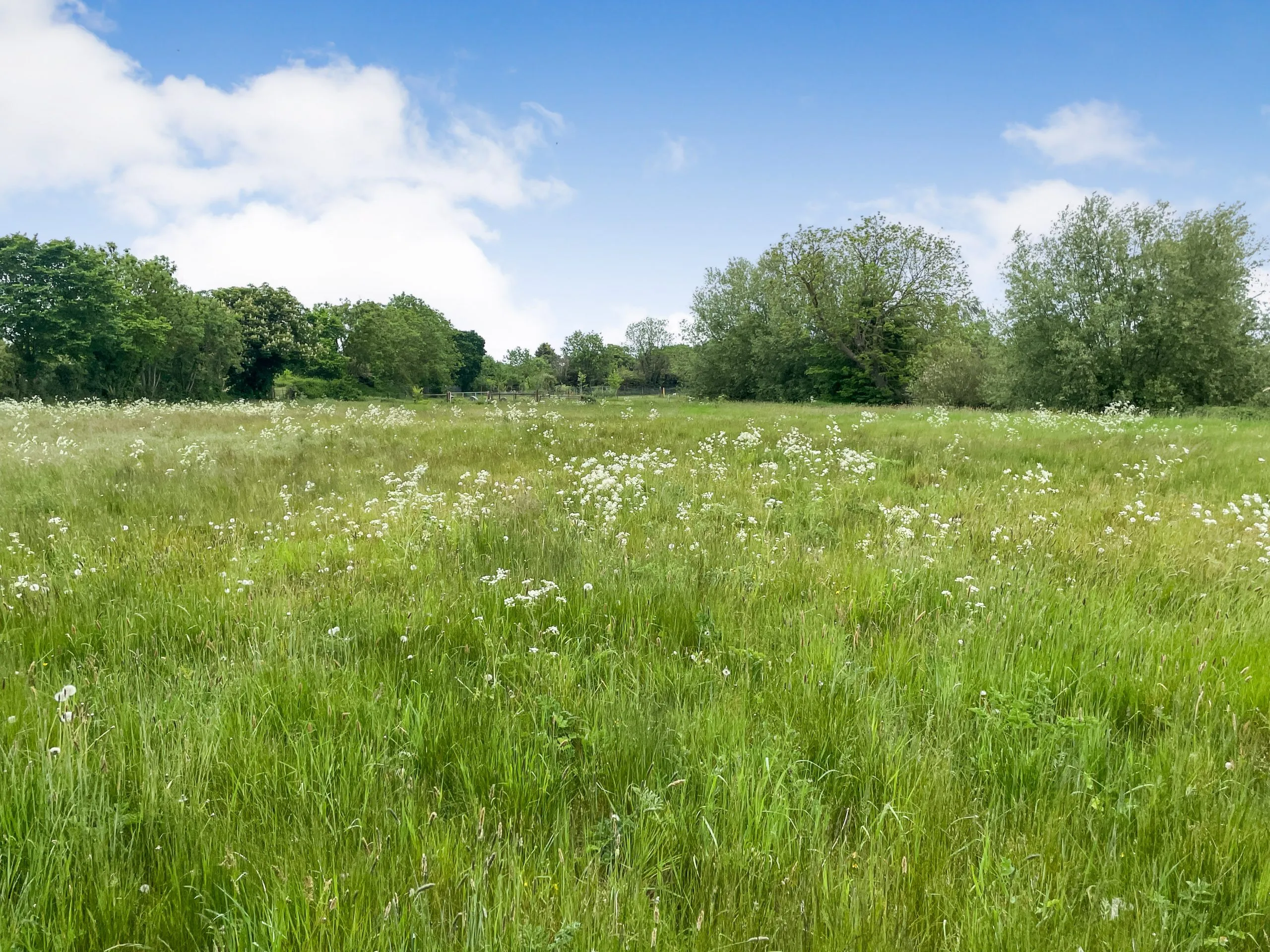 Land off High Street,Girton, NG23 7JA