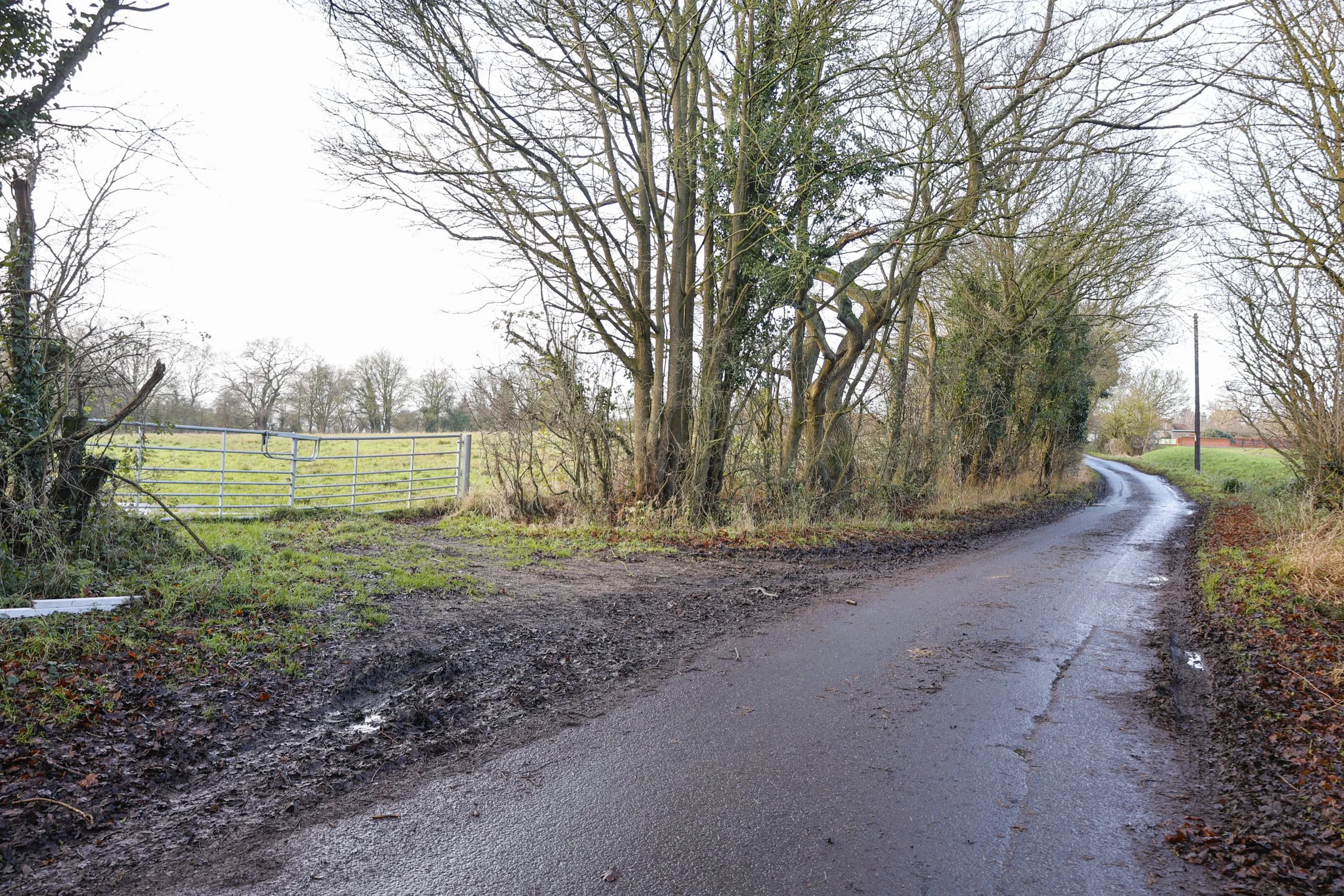 Land at Mole Hill Green Road, Willows Green, Braintree, CM6 3JP