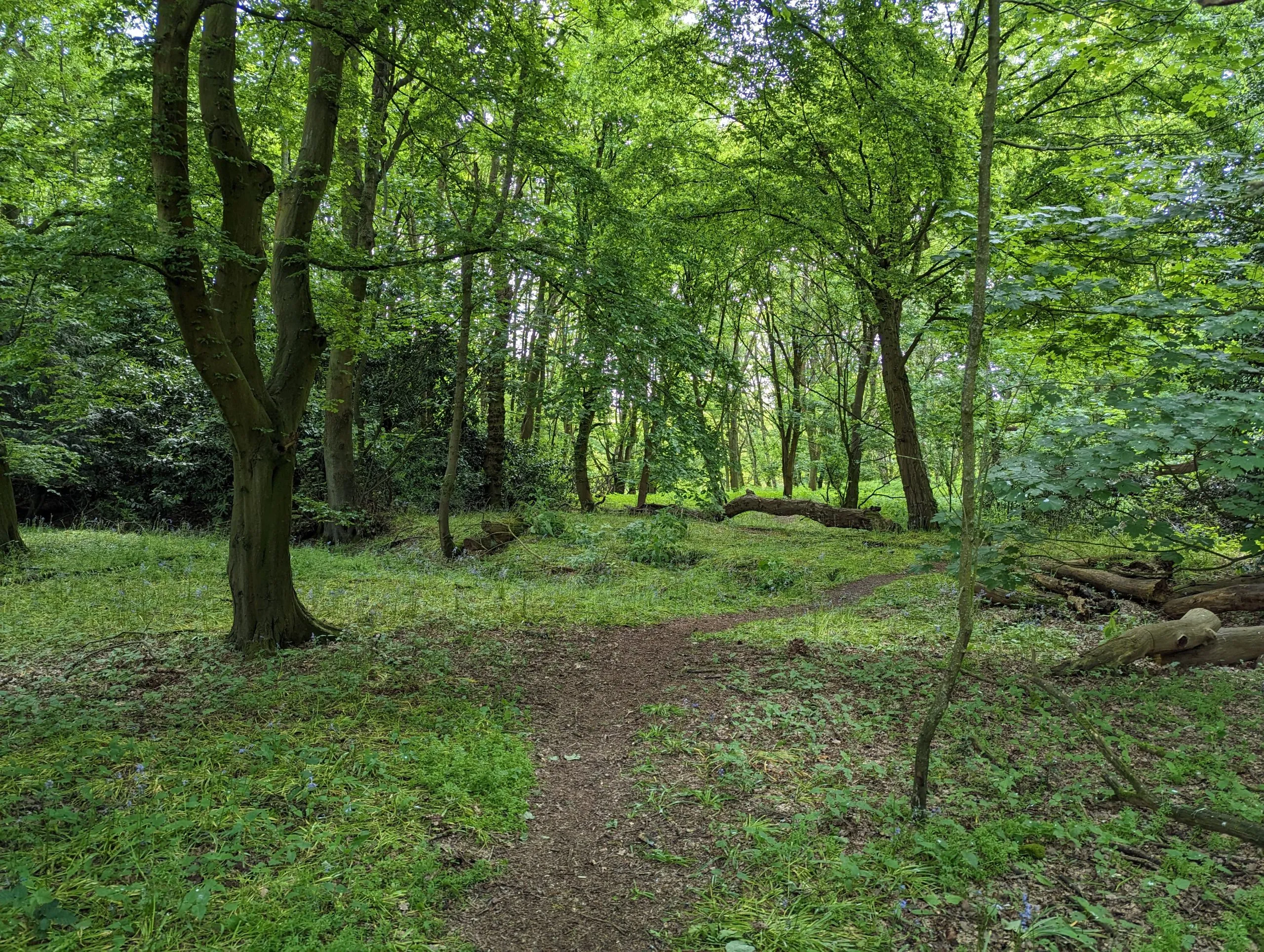 Land to the East side of Reading Road, Heckfield, Hook, Hampshire, RG27 0JY