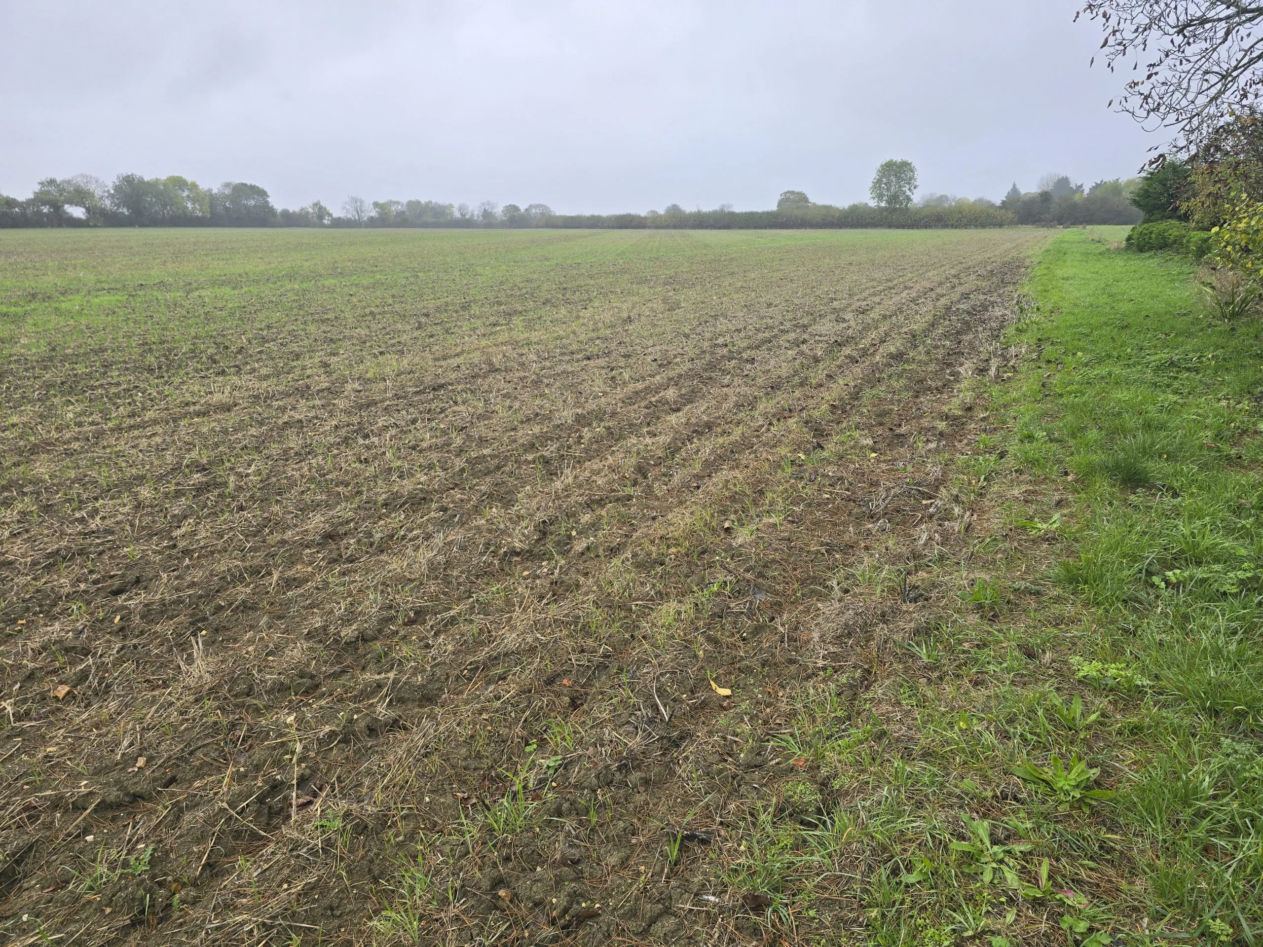 Land Off Keysoe Row West, Keysoe, Bedfordshire MK44 2JG