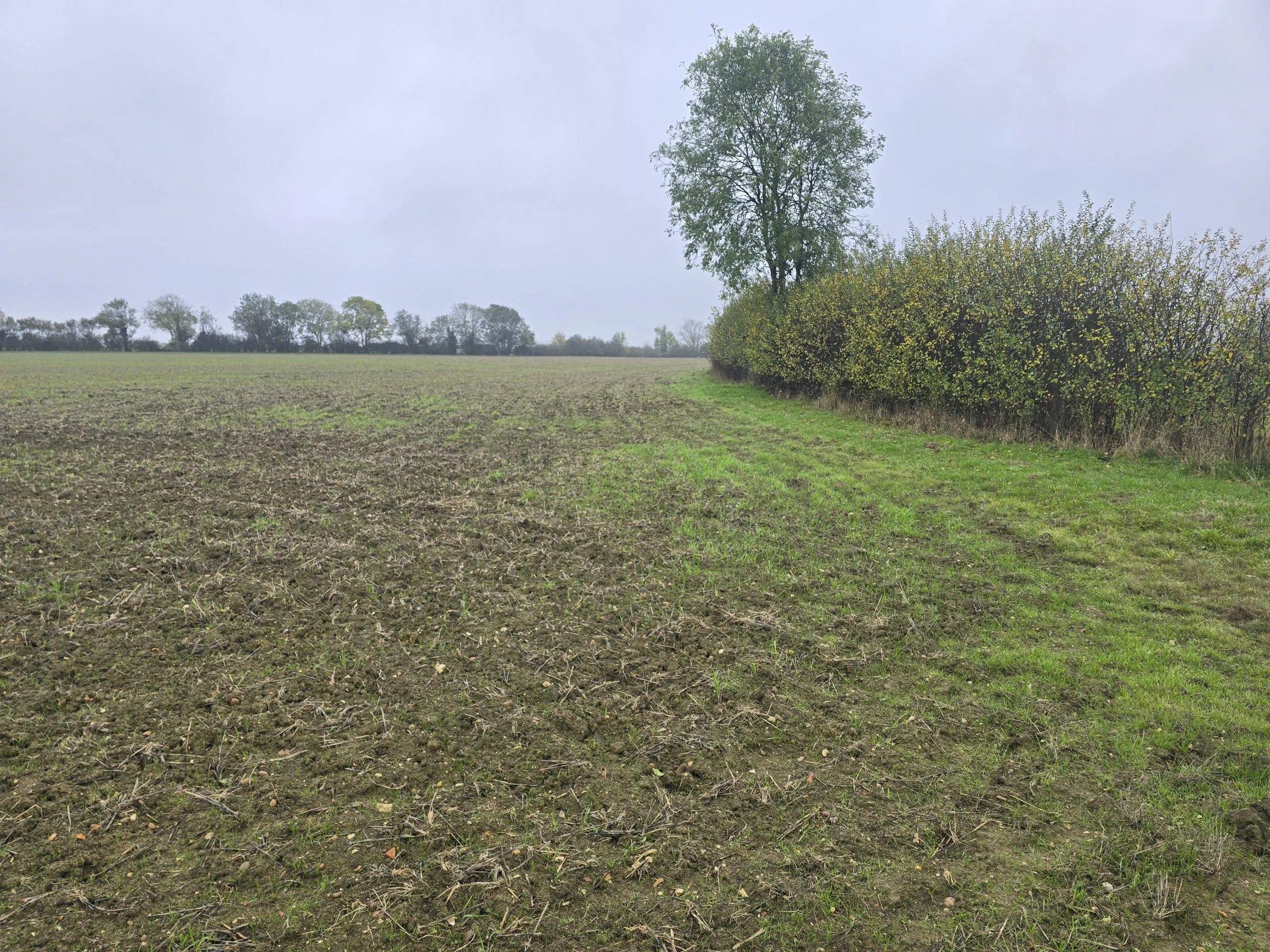 Land Off Keysoe Row West, Keysoe, Bedfordshire MK44 2JG