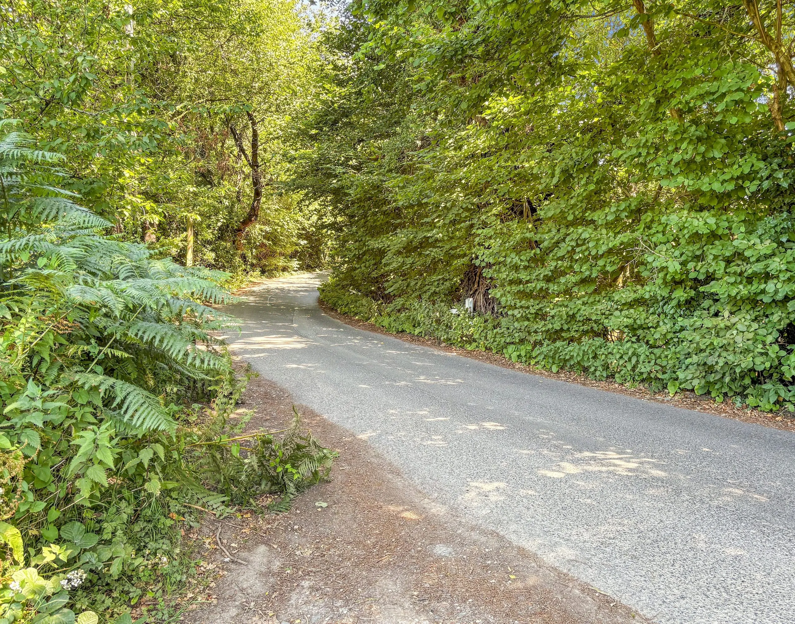 Land off Riccards Lane, Whatlington, East Sussex, TN33 0NG