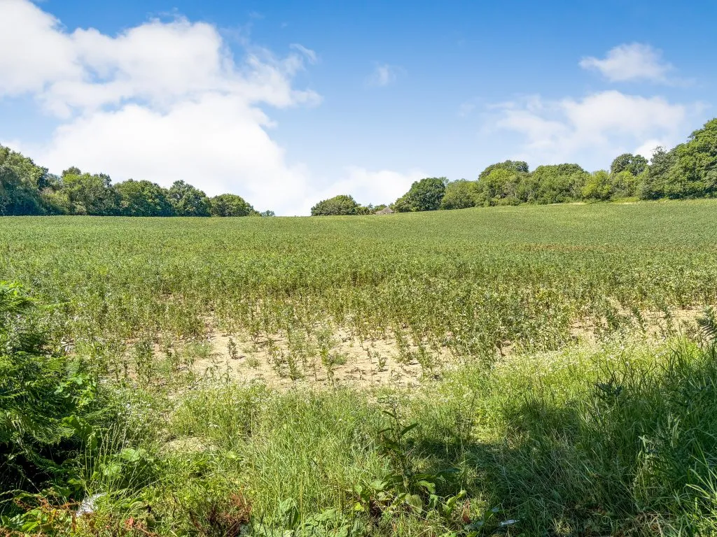 Land off Riccards Lane, Whatlington, East Sussex, TN33 0NG