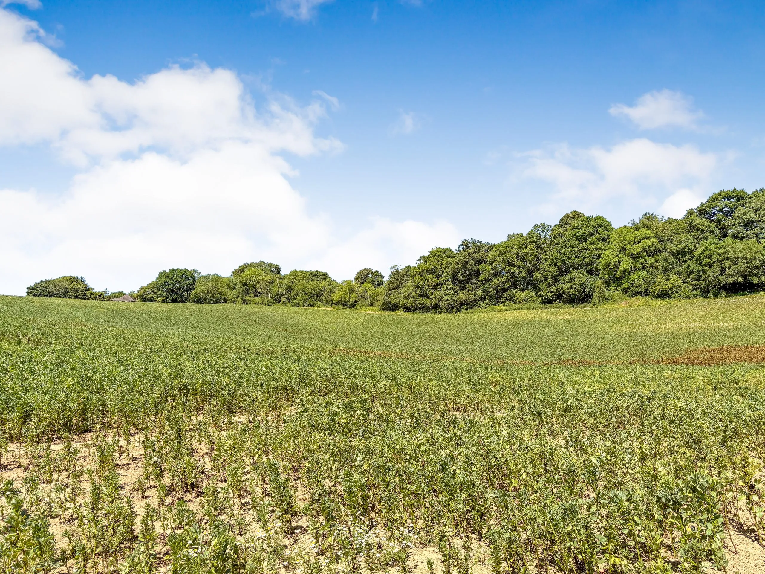 Land off Riccards Lane, Whatlington, East Sussex, TN33 0NG