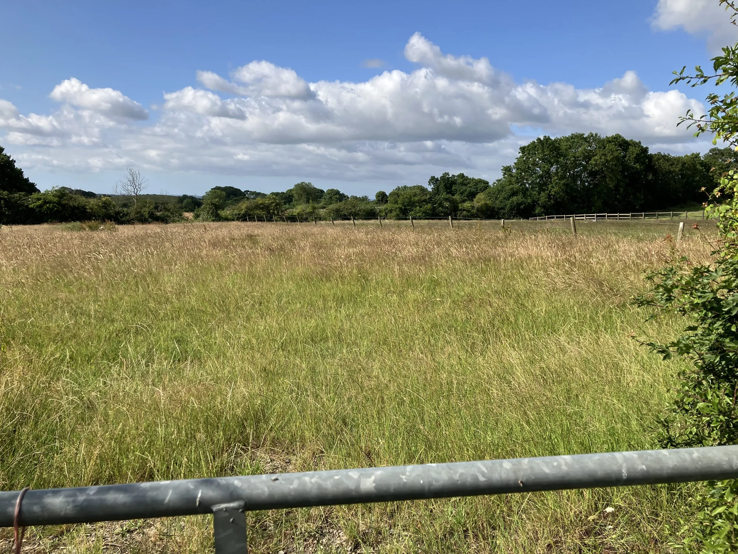 Land off Chalbury Lane, Chalbury, BH21 7EZ