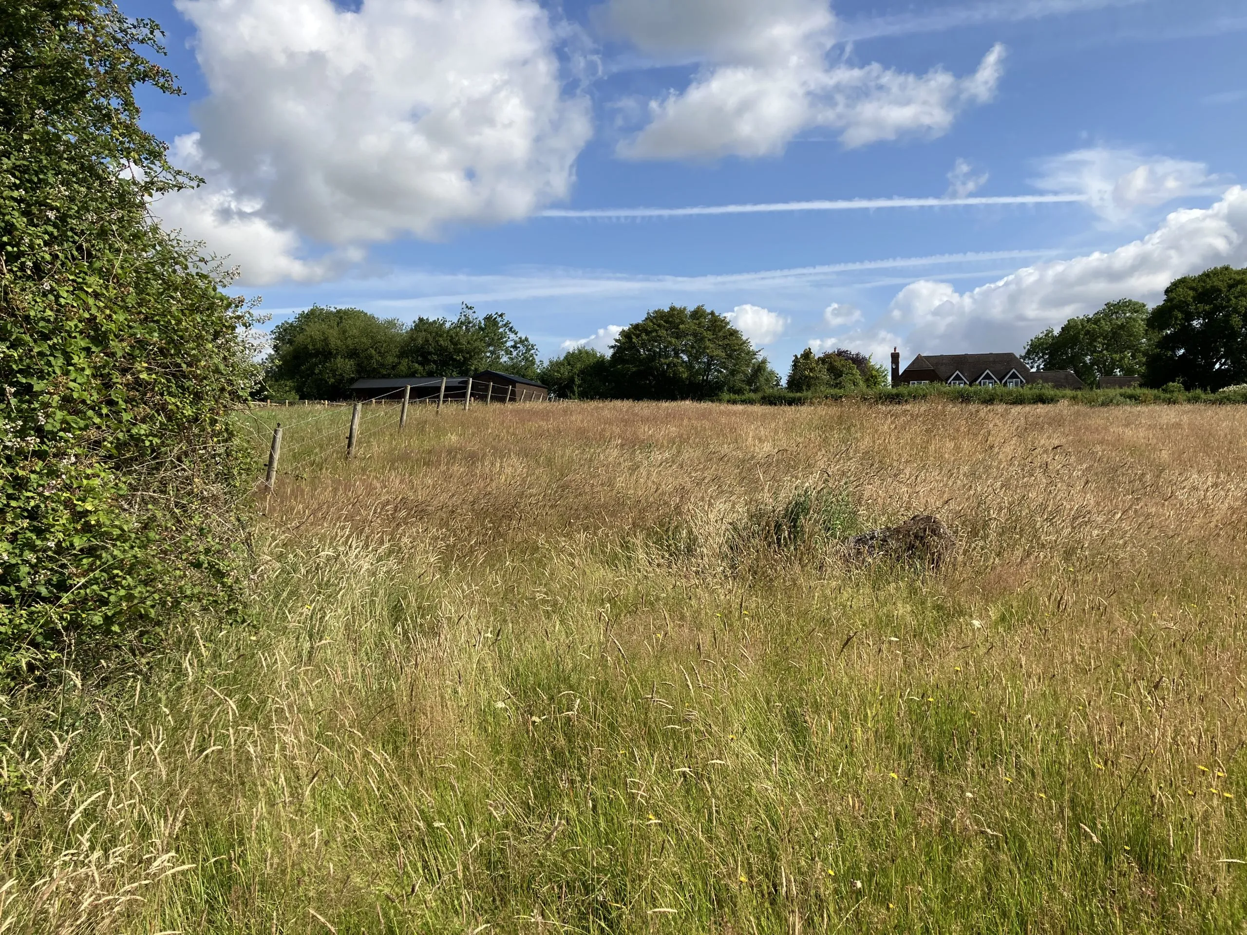 Land off Chalbury Lane, Chalbury, BH21 7EZ