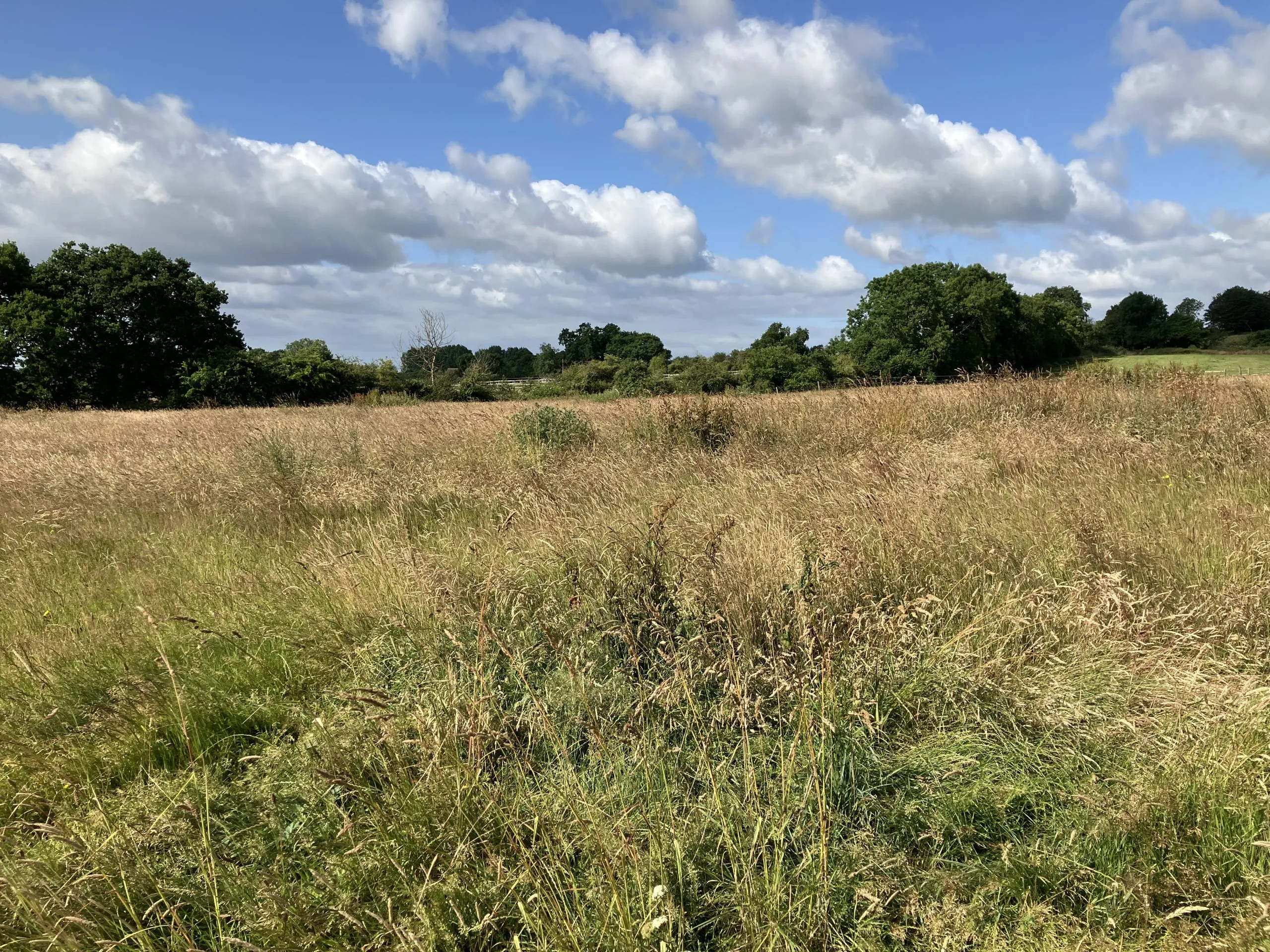 Land off Chalbury Lane, Chalbury, BH21 7EZ