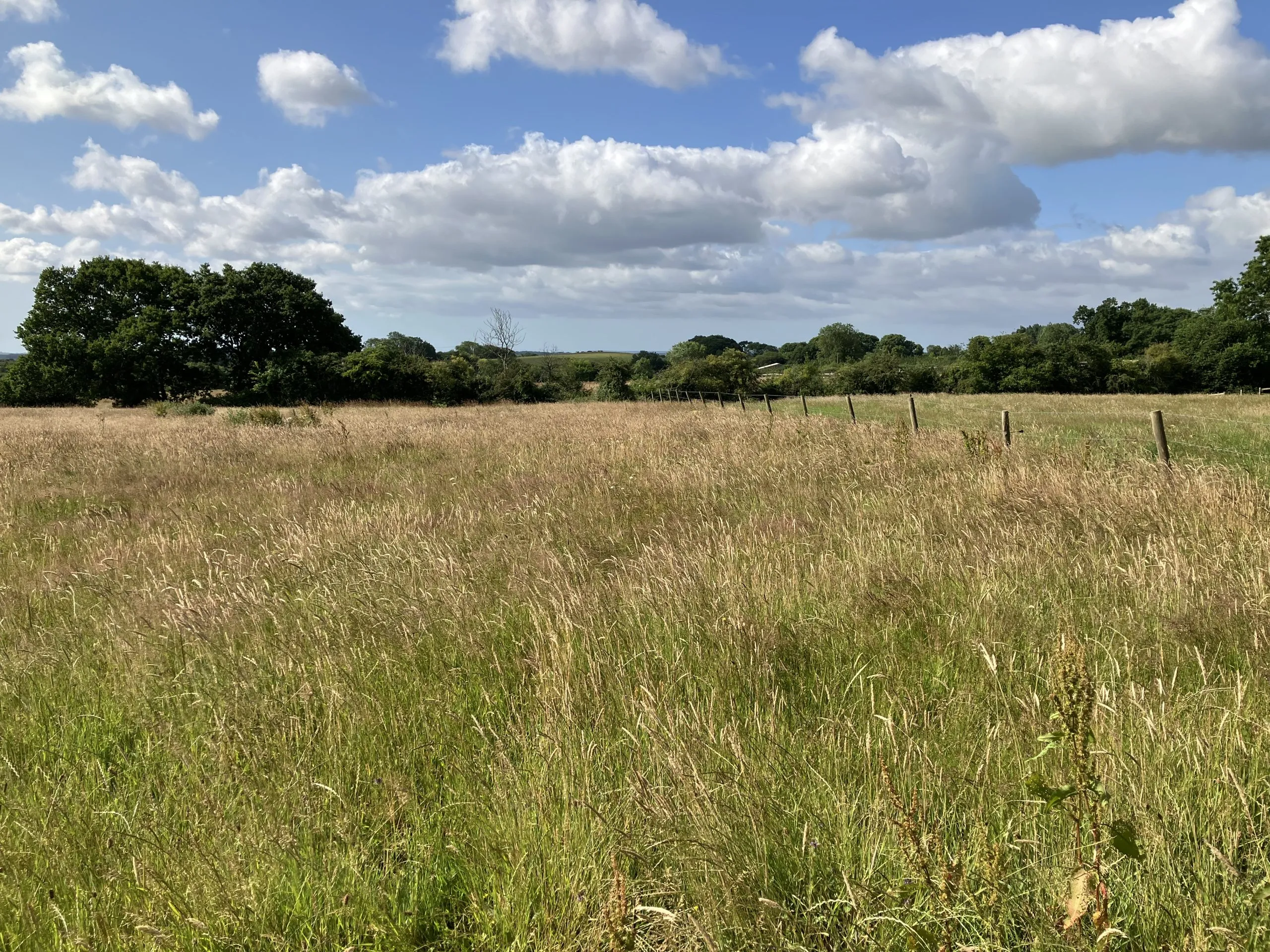 Land off Chalbury Lane, Chalbury, BH21 7EZ