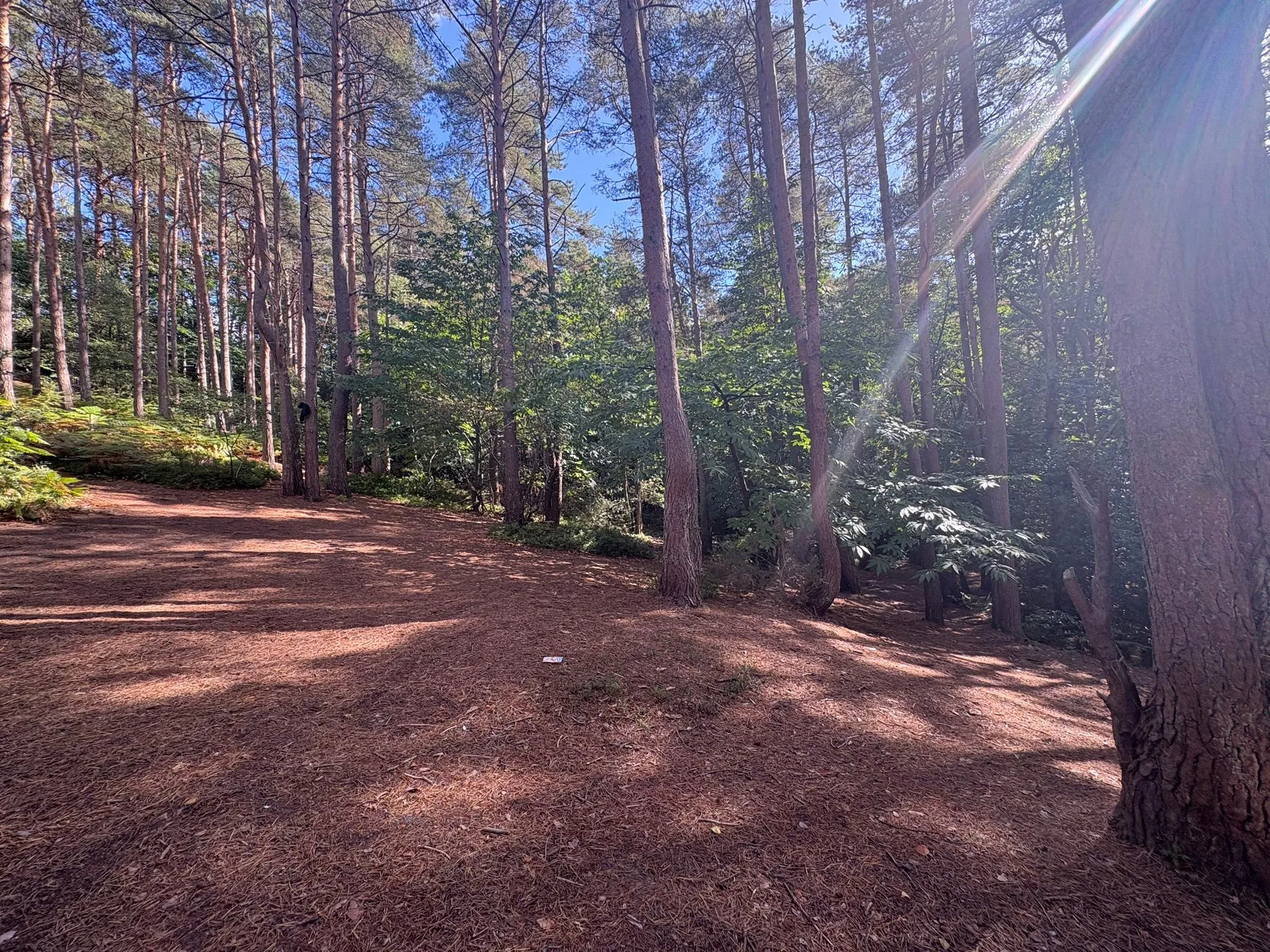 Land off Burnt Hill Road, Lower Bourne, Farnham, GU10 3LZ