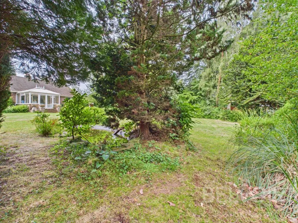 4 bed Detached Bungalow
