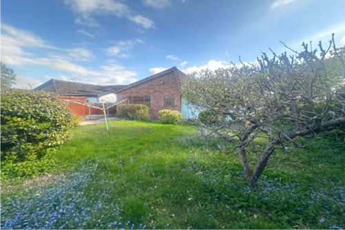 3 bed Detached Bungalow