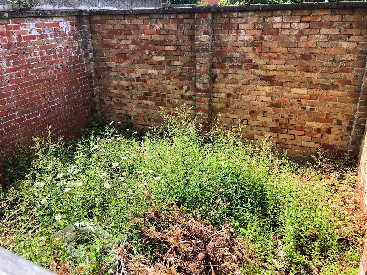 Land at Whiterock Place, Southwick, BN42 4AY