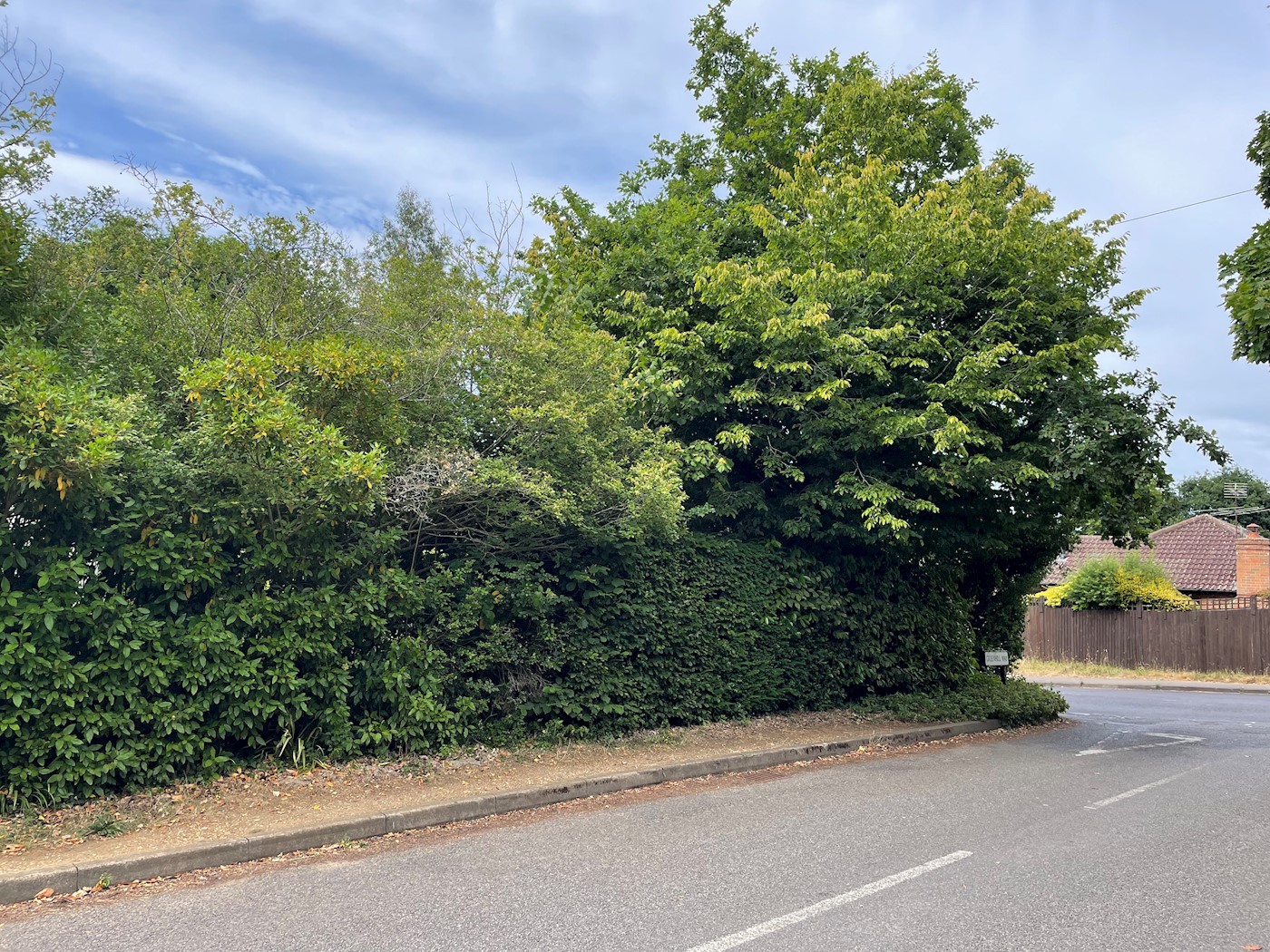 Site at Green Lane, Farnham, GU9 8PT