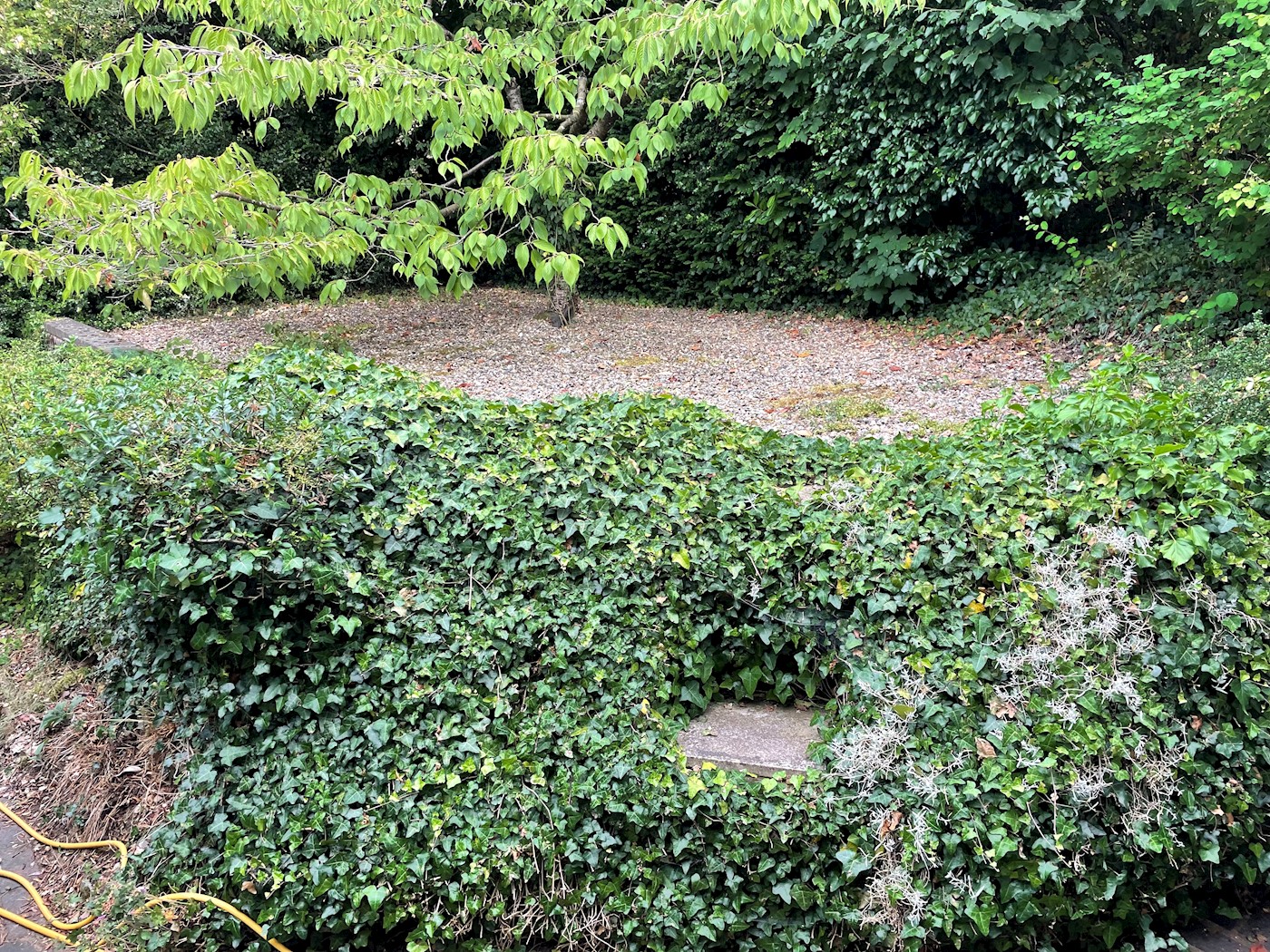 Site at Green Lane, Farnham, GU9 8PT