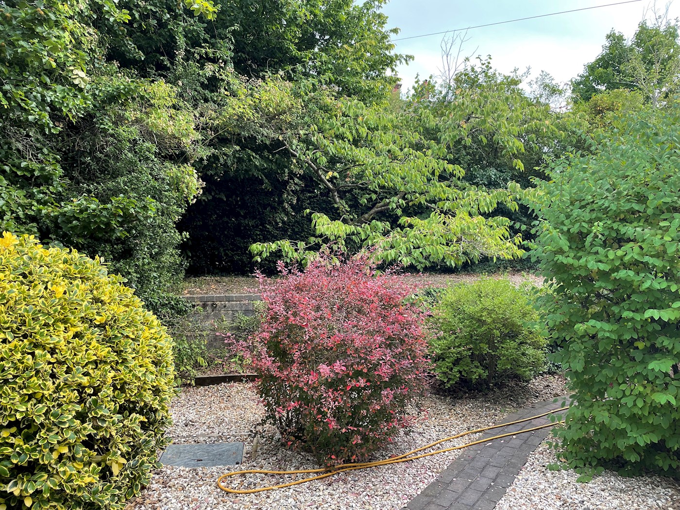 Site at Green Lane, Farnham, GU9 8PT
