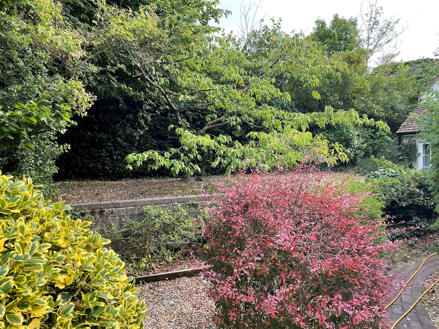 Site at Green Lane, Farnham, GU9 8PT