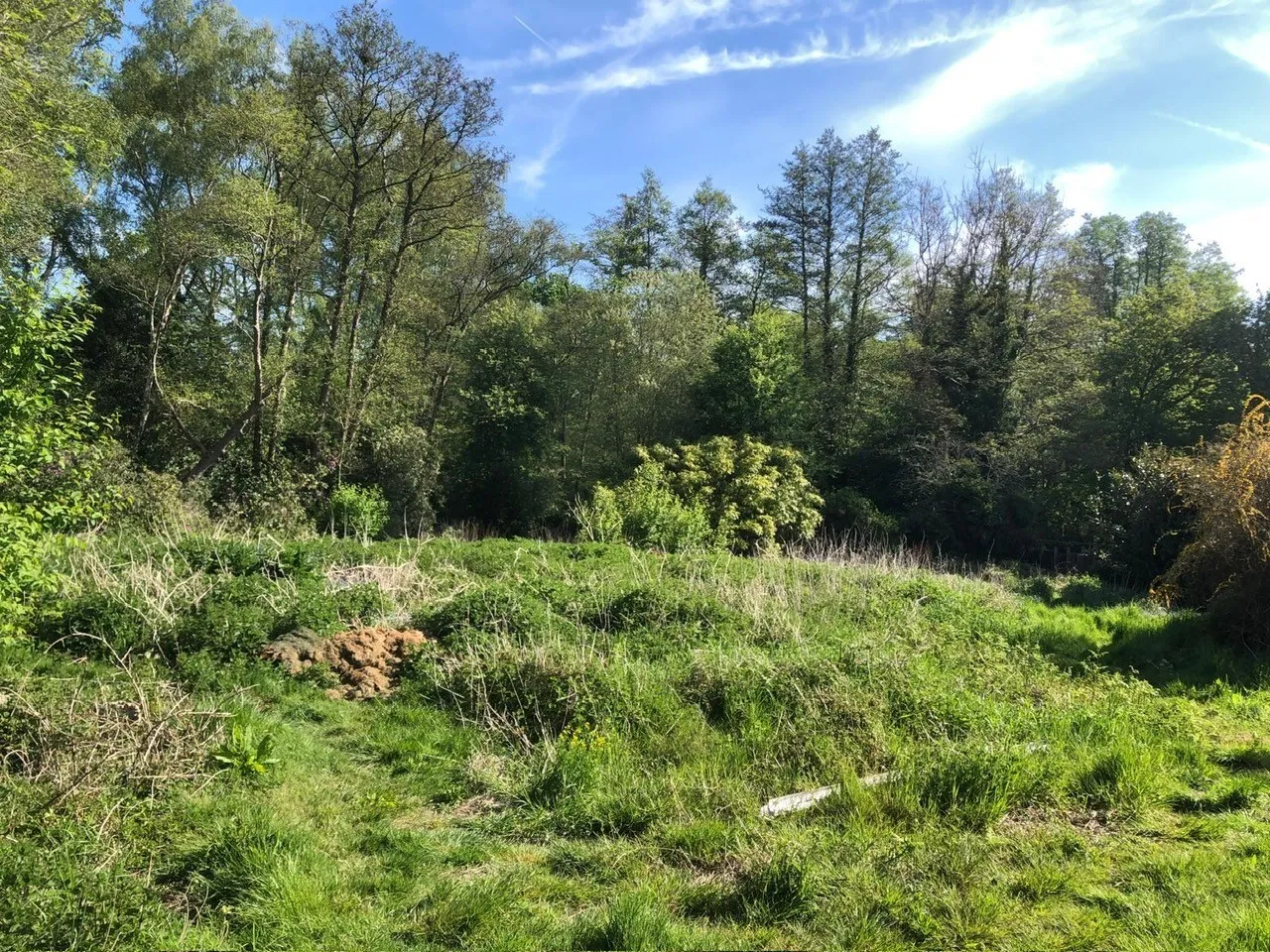 Land to the north of Brunswick Drive, Brookwood, Woking, GU24 0NR
