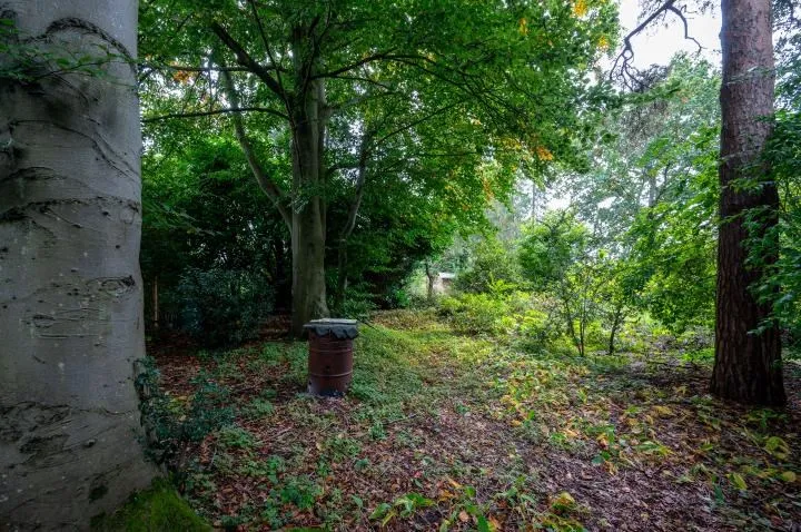 Tattie Bogle, Send Hill, Woking, Surrey, GU23