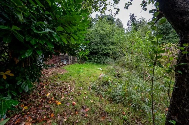 Tattie Bogle, Send Hill, Woking, Surrey, GU23