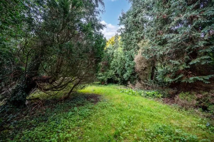 Tattie Bogle, Send Hill, Woking, Surrey, GU23