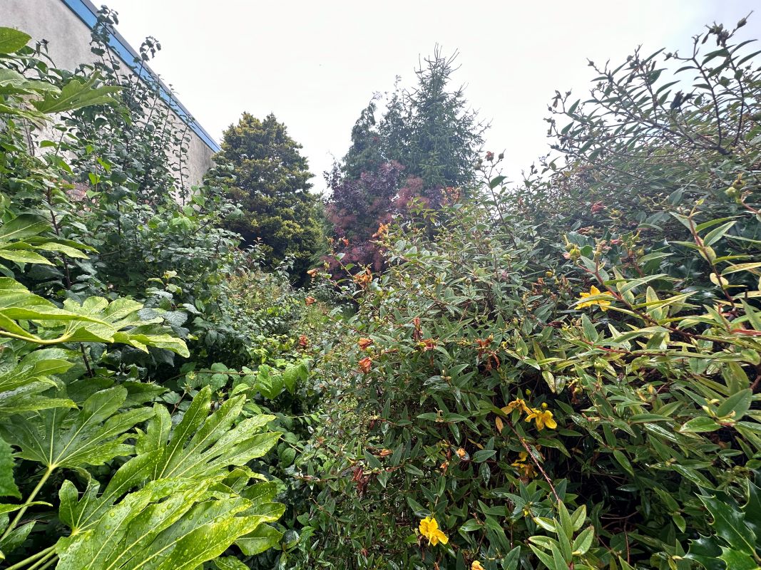 3 bedroom mid terraced house in Cannock