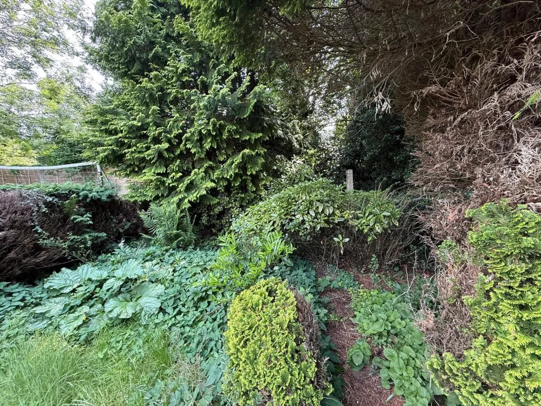 3 bedroom semi detached house in Wolverhampton