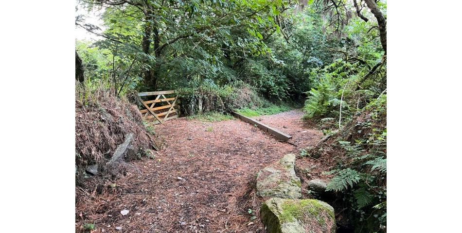 Plot 4 Menwinnion Land, Lamorna - Woodland