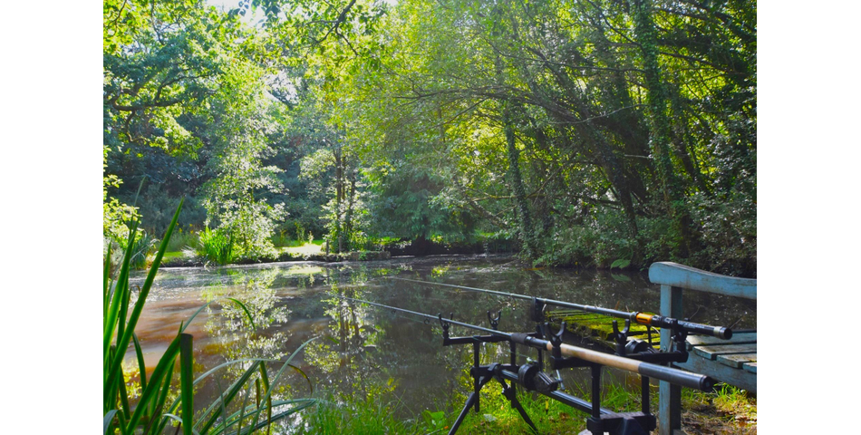 4.78 ACRE PLOT OF LAND WITH POND. VIDEO AVAILABLE. STOCKED LAKE.
