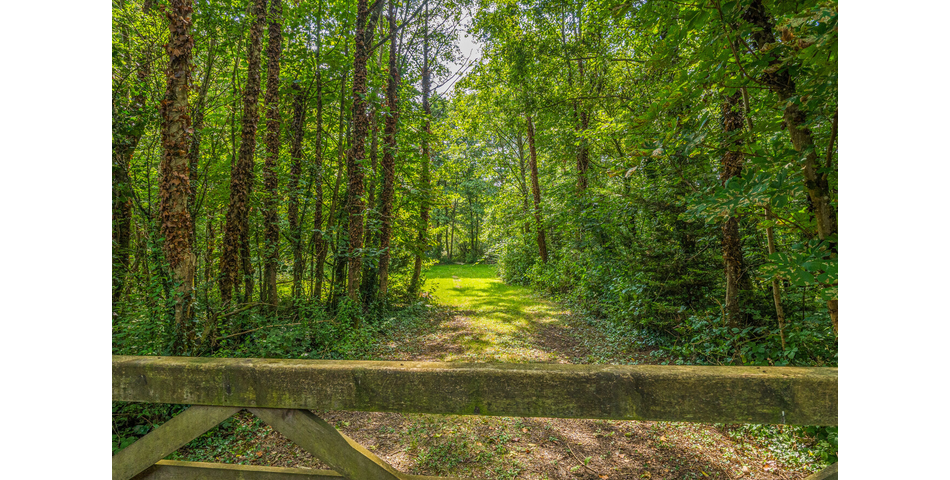 4.78 ACRE PLOT OF LAND WITH POND. VIDEO AVAILABLE. STOCKED LAKE.